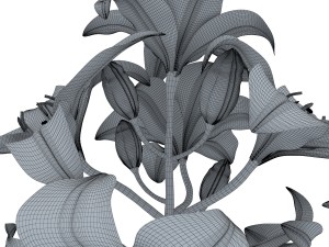 lily tiger pink 3D Model