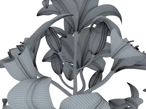 lily tiger pink 3D Model