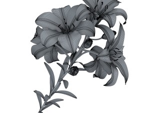 lily tiger pink 3D Model