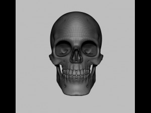 skull Modello 3D