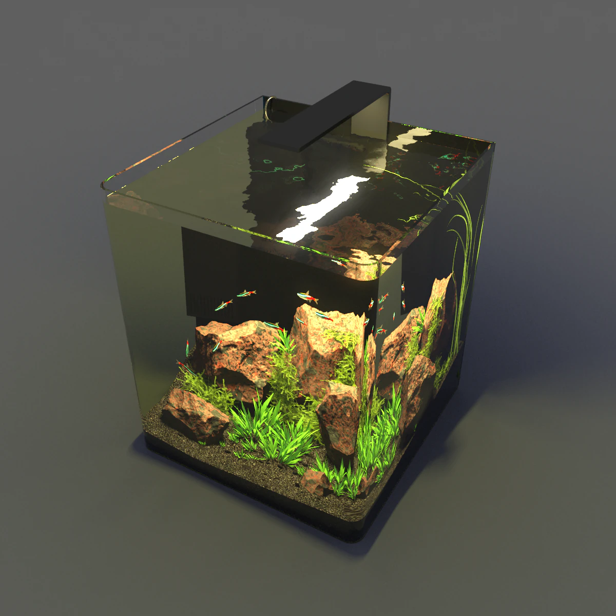 aquarium nano 3D Model .c4d .max .obj .3ds .fbx .stl .blend 