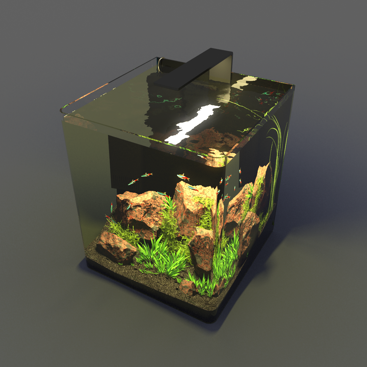 Aquarium Nano 3d Model In Fish 3dexport