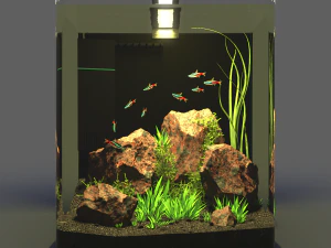 aquarium nano 3D Model