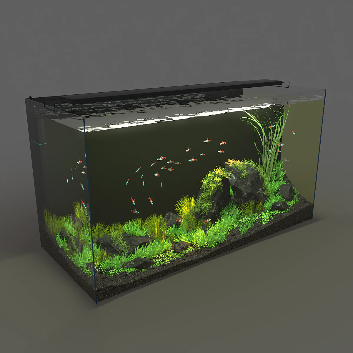 aquarium rectangle 120l 3D Model .c4d .max .obj .3ds .fbx .stl .blend 