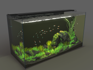 aquarium rectangle 120l 3D Model