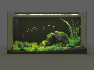 aquarium rectangle 120l Model 3D