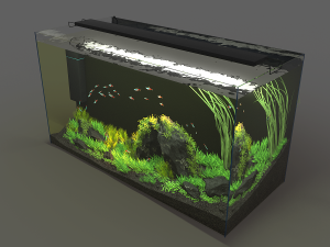 aquarium rectangle 120l Model 3D