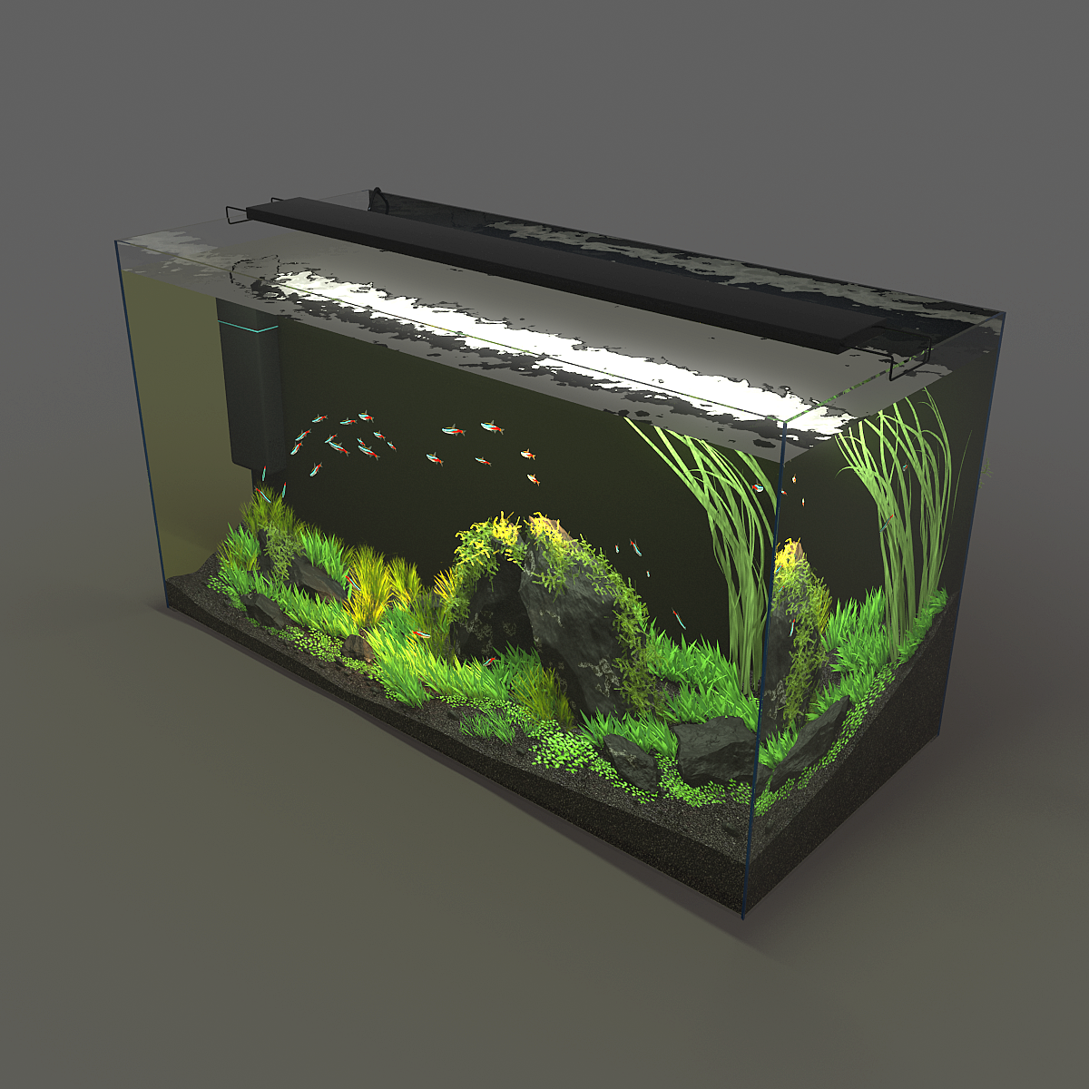 aquarium rectangle 120l 3D Model in Fish 3DExport