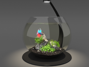 aquarium bowl 3D Model
