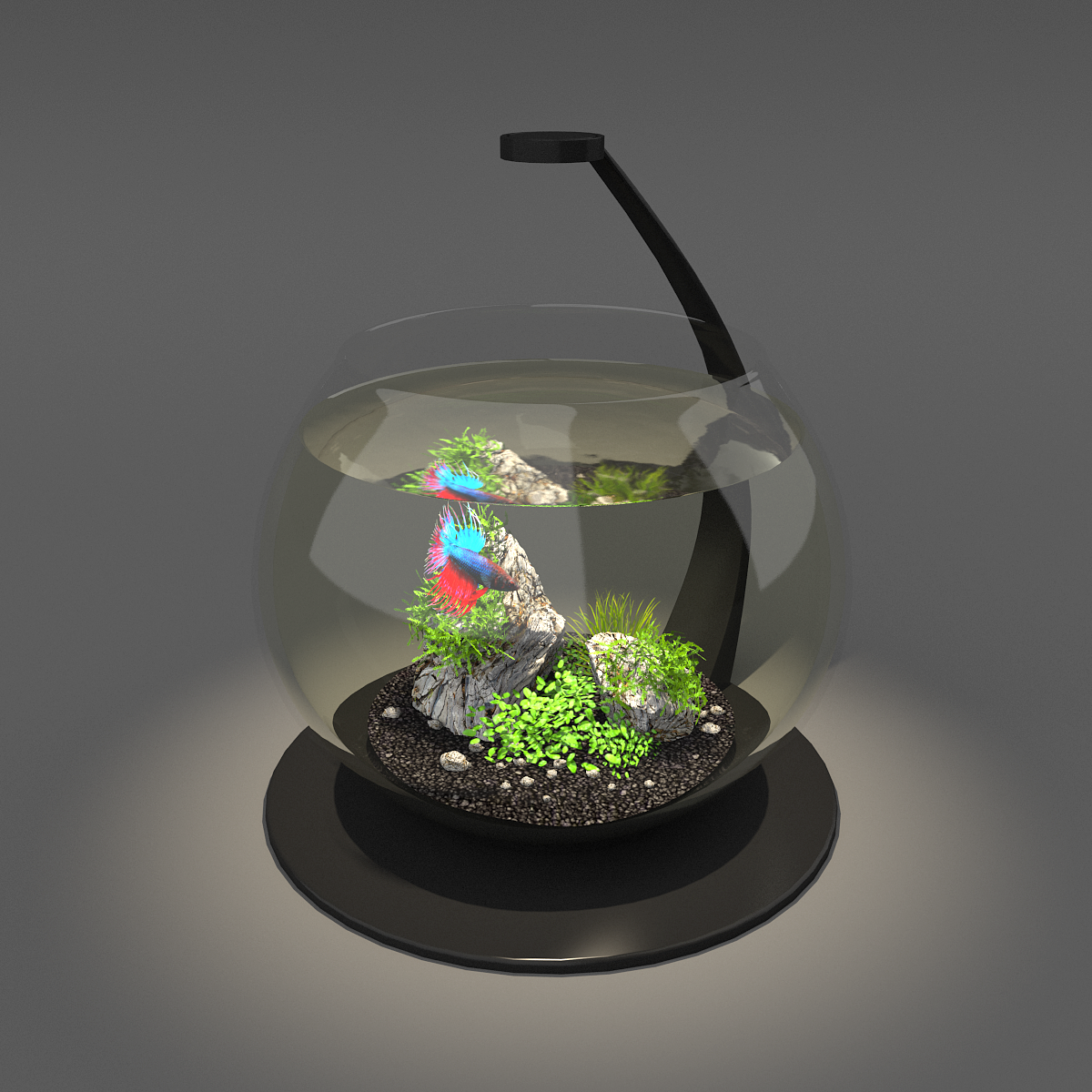 aquarium bowl 3D Model in Fish 3DExport
