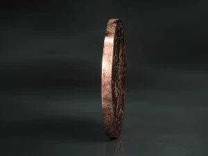 realistic 5 cent - euro - low poly 3D Model