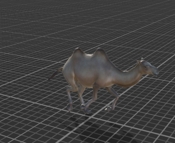 desert camel 3D 모델 .c4d .max .obj .3ds .fbx .stl .blend 