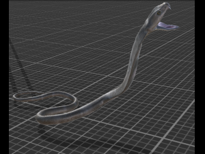 cobra snake 3D Модель