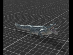 swamp crocidile 3D 모델