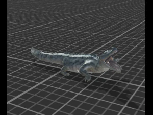 swamp crocidile 3D Model