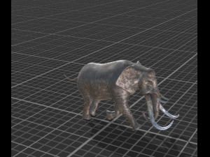 elephant animated rigged 3D Model
