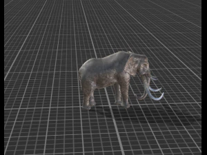 elephant animated rigged 3D Model