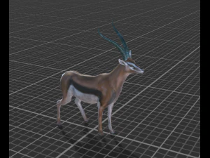 gazela animada manipulada Modelo 3D