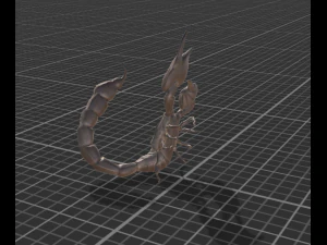 giant scorpion animated rigged 3D Model