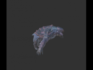 kapa 3Dモデル