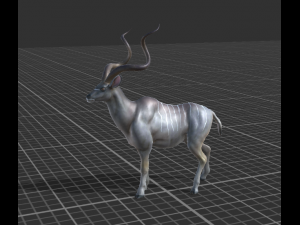 kudu animated rigged 3D 模型