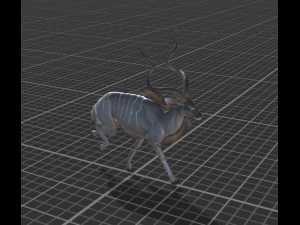 kudu animated rigged 3D 模型