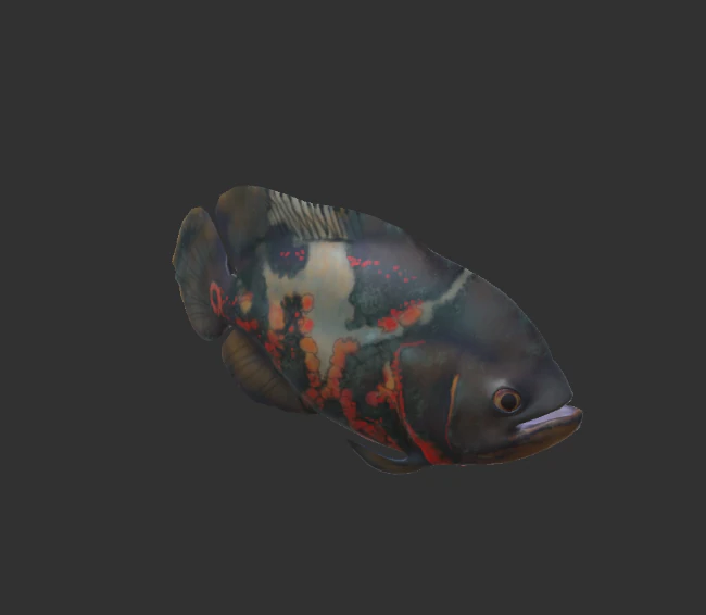 oscar fish 3D Model .c4d .max .obj .3ds .fbx .stl .blend 