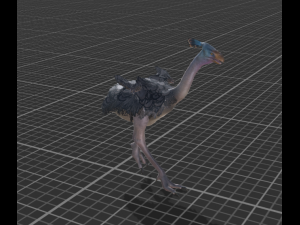 ostrich Model 3D