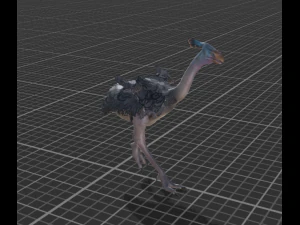 ostrich 3D Model