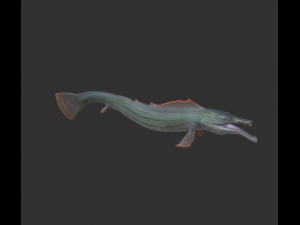 pikefish 3D 모델