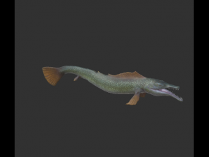 pikefish 3D-Modell