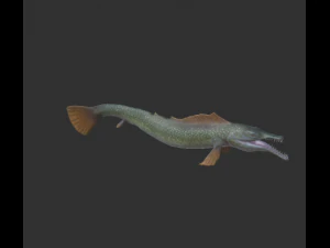 pikefish 3D Model