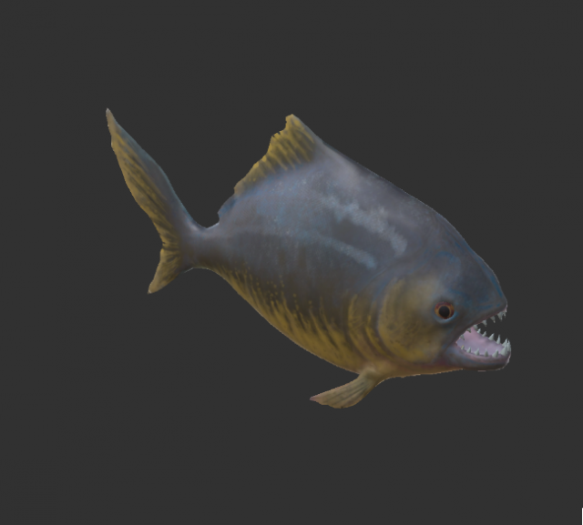 piranha 3D 모델 .c4d .max .obj .3ds .fbx .stl .blend 