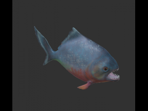 piranha 3D 모델