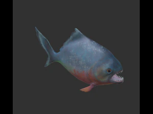 piranha 3D Model