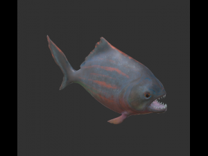 piranha 3D 모델