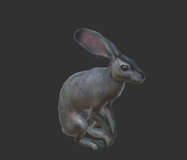 wild rabbit 3D Model .c4d .max .obj .3ds .fbx .stl .blend