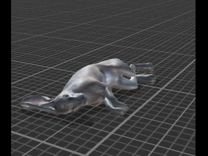wild rabbit 3D Model