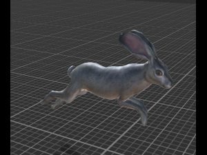 wild rabbit Modelo 3D
