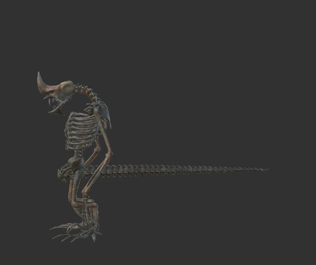 undead land dragon 3D Model .c4d .max .obj .3ds .fbx .stl .blend 