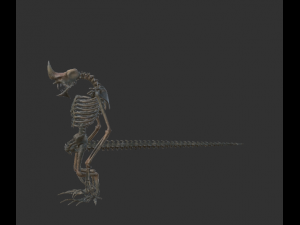 undead land dragon Modelo 3D