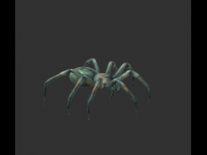 spider package 3D Модель
