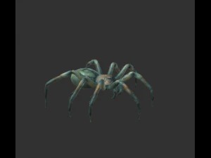 spider package 3D Model