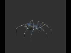 spider package 3D Модель