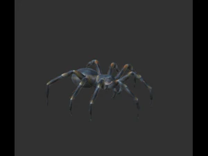 spider package 3D Model
