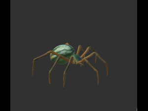 spider package 3D Model