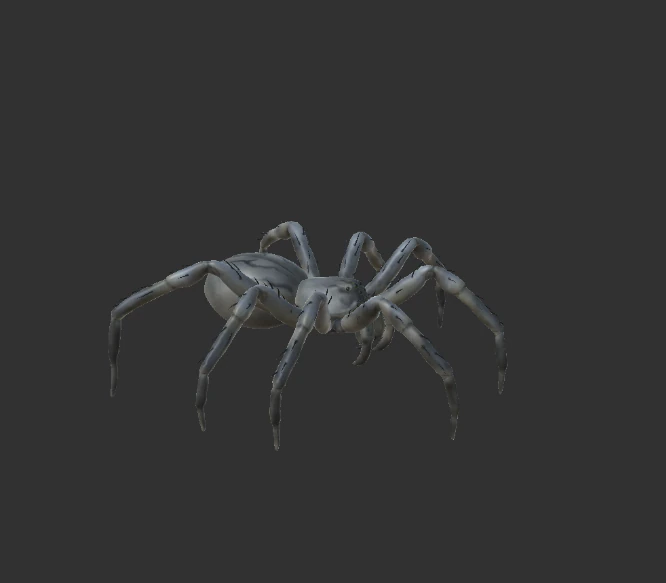 spider package 3D Model .c4d .max .obj .3ds .fbx .stl .blend 