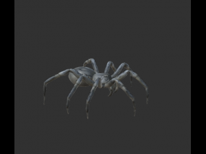 spider package Modelo 3D