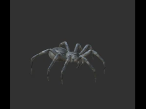 örümcek paketi 3D Model