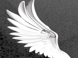 ANGEL WING BIG RING RENDERING 3D Model